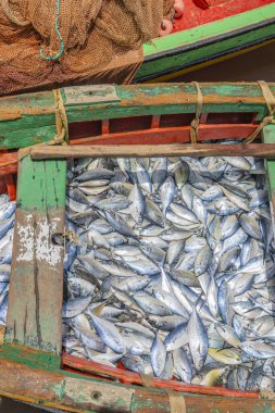 Sal Adası, Cape Verde 'deki Palmeira' da balıkçılarla dolu bir orman teknesi.