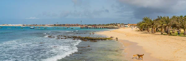 Santa Maria Beach Sal Cape Verde Panorama Background Pier — Stock Photo, Image