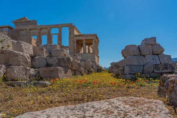 Flowers Infront Pandroseion Sanctuary Dedicated Pandrosus Acropolis Athens — 图库照片