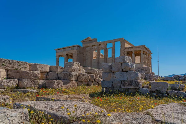 Flowers Infront Pandroseion Sanctuary Dedicated Pandrosus Acropolis Athens — 图库照片