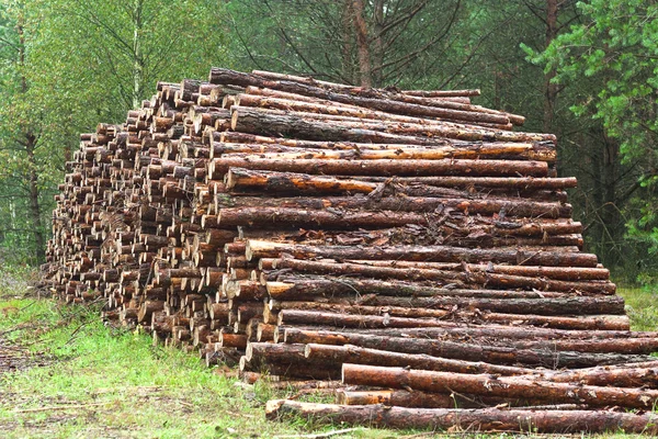 A lot of sawn timber — Stock Photo, Image