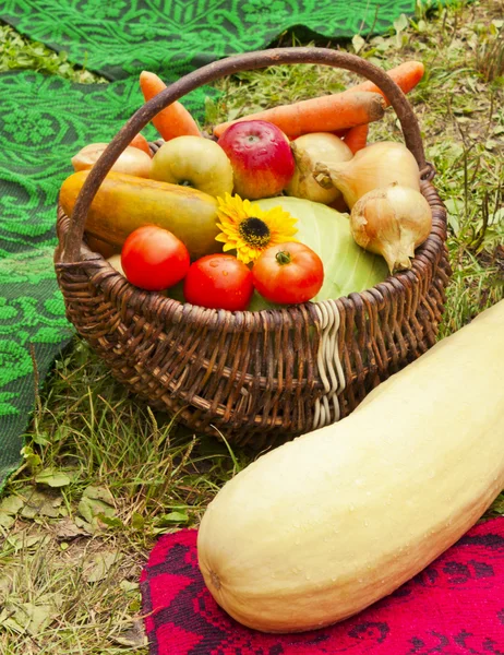 Cosecha de verduras en la canasta —  Fotos de Stock