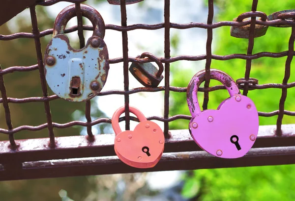 Red and pink heart-shaped padlocks — Stock Photo, Image
