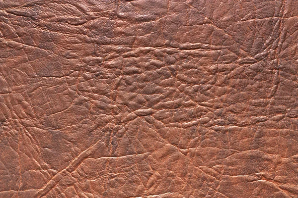 Leather texture Stock Photo