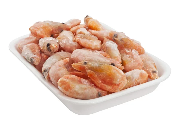 Čerstvé krevety v nádobě z plastu — Stock fotografie
