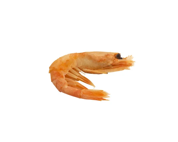 Um camarão em um fundo branco — Fotografia de Stock