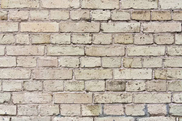 Texture of beige brick wall — Stock Photo, Image