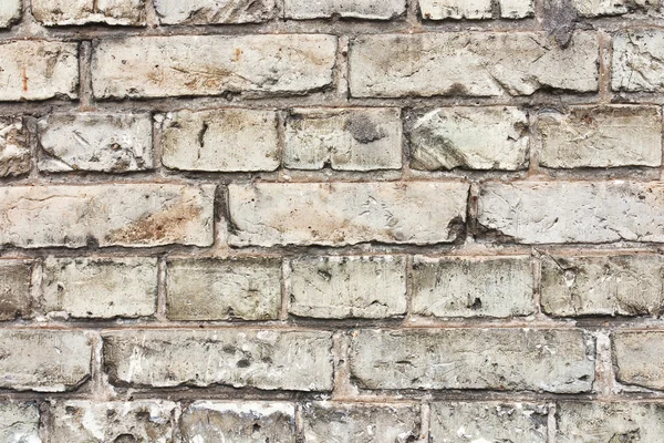Texture du mur de briques blanches — Photo