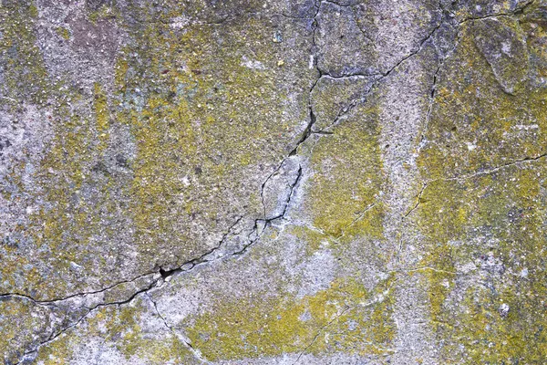 Mossy wall texture with crack — Stock Photo, Image