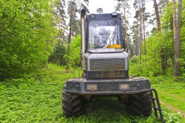 ormanda büyük skidder