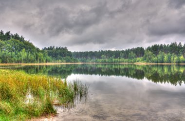 doğal göl ve orman