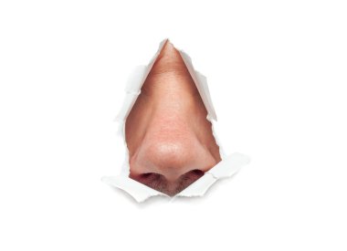 insan burnu bir delikten sopa