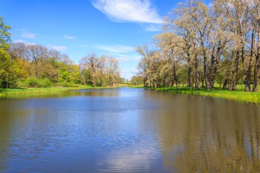 küçük bir nehir Belarus