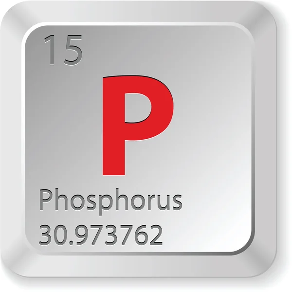 Phosphorus button — Stock Vector