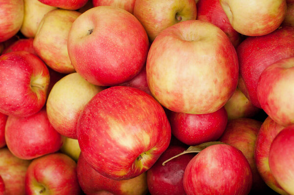 Red apples at farmers market