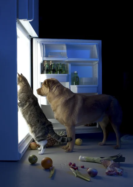 Middernacht snacks — Stockfoto