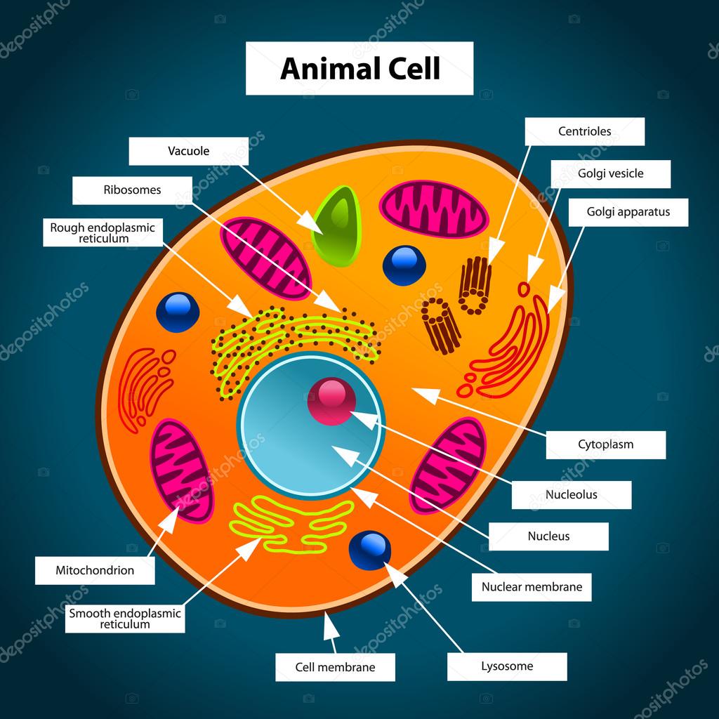 download astrology