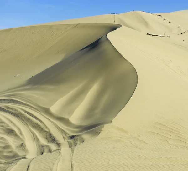 Las dunas del desierto — Foto de Stock