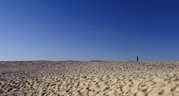 Amplio desierto bajo el cielo azul —  Fotos de Stock