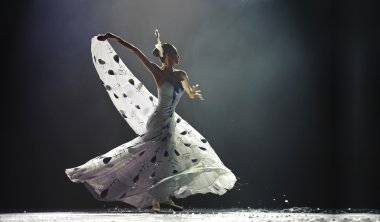 Çin ünlü dansçı yang liping