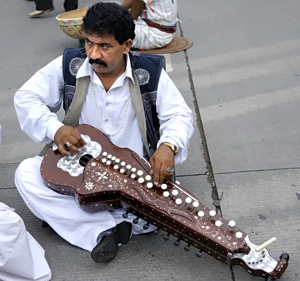 Artiste pakistanais — Photo