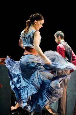 Flamenko Dansçısı