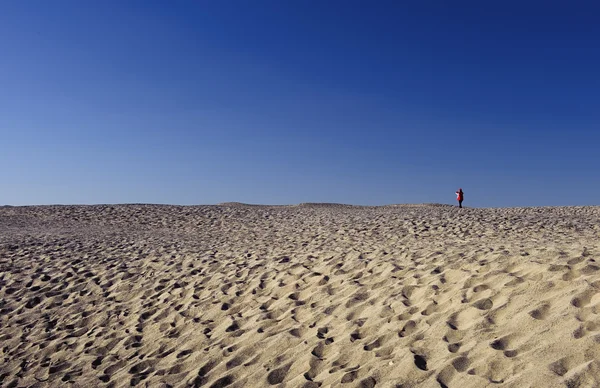 Широкая пустыня под синим небом — стоковое фото