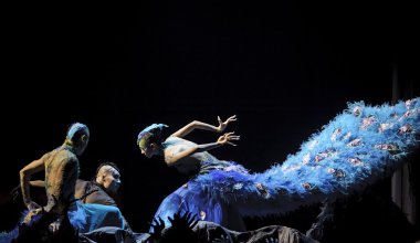 Chinese national dancers