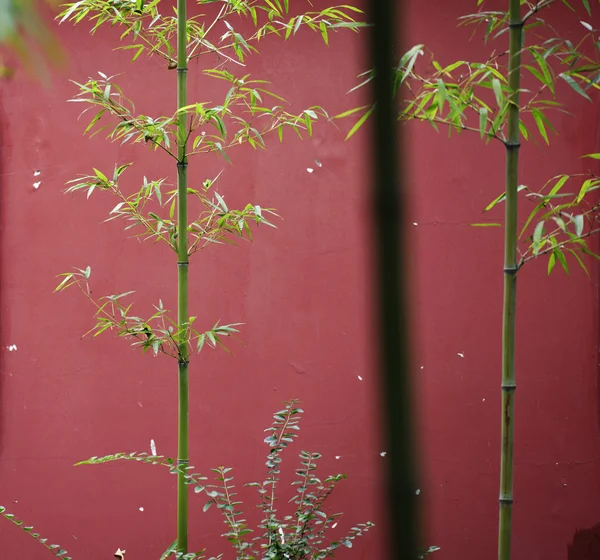 Pared roja tradicional china —  Fotos de Stock