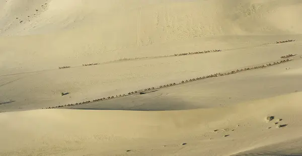 De zandduinen op woestijn — Stockfoto