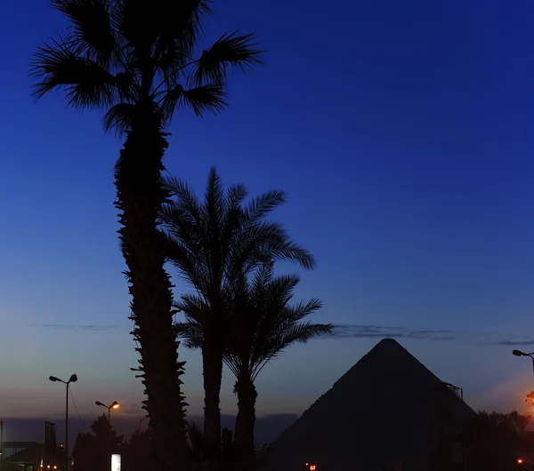 在早上的吉萨金字塔 — 图库照片