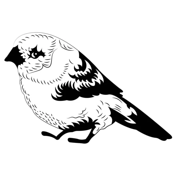 Llittle Bird Ressemble Une Mésange Noir Dans Style Plat Conception — Image vectorielle