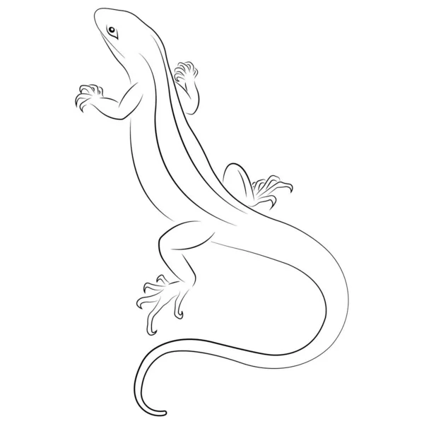 Silhueta Lagarto Estilo Minimalista Design Adequado Para Tatuagens Modernas Decoração — Vetor de Stock