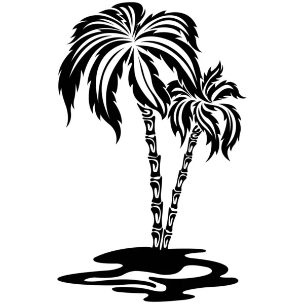 热带棕榈的轮廓为凯尔特风格的黑色 设计适用于装饰 热带自然 T恤衫印刷 包装纸 书籍封面 产品包装等 矢量孤立的说明 — 图库矢量图片