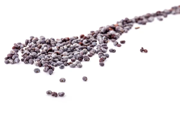 Poppy seed, Extreme close-up — Stock Photo, Image