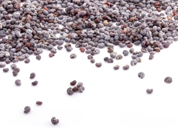 Poppy seed, Extreme close-up — Stock Photo, Image