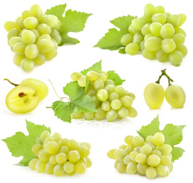 Collection of Grapes with leaves clipart