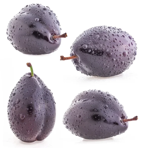 Plums with water drops — Stock Photo, Image