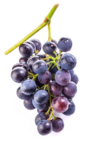 Grapes with water drops — Stock Photo, Image