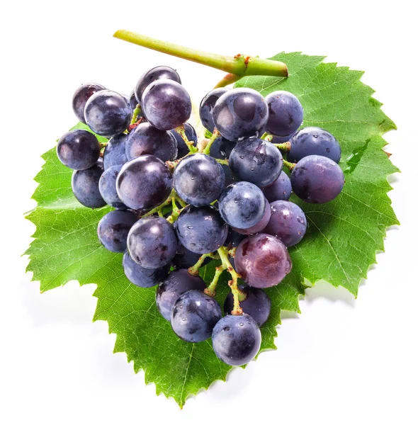 Druiven met bladeren — Stockfoto