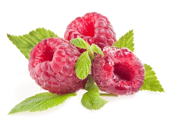 Composition of Raspberry — Stock Photo, Image