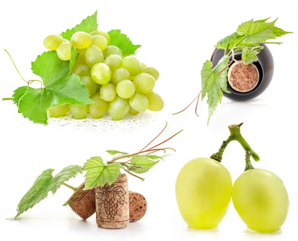 Collection of grapes, bottle and cork — Stock Photo, Image
