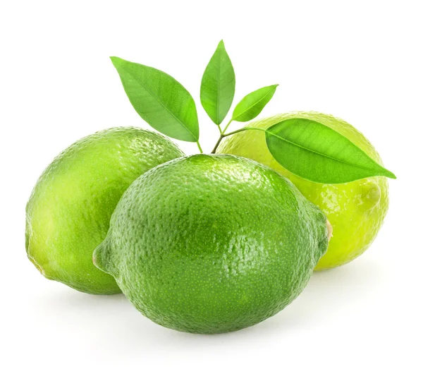 Fresh lime with leaves — Stock Photo, Image