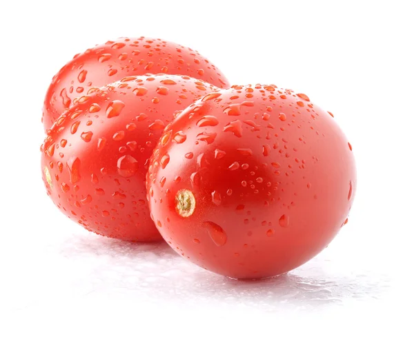 Tomaten mit Wassertropfen — Stockfoto