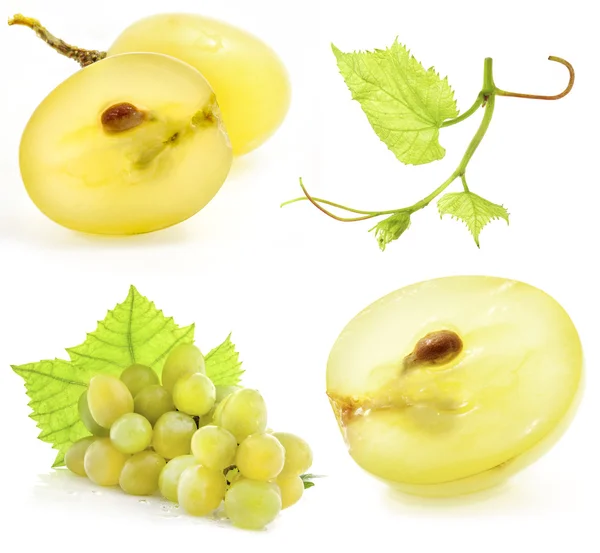 Olgunlaşmış üzümler — Stok fotoğraf