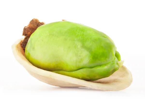 Pistacchio noccioli — Foto Stock