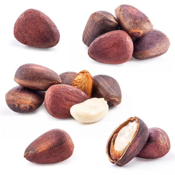 Pine nuts, closeup — Stock Photo, Image