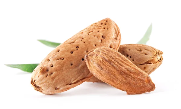 Groep van amandel noten met bladeren — Stockfoto