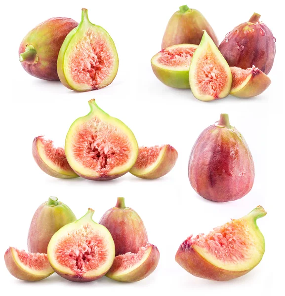 Collection of Figs — Stock Photo, Image