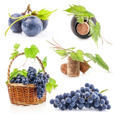 Collection of Dark grapes